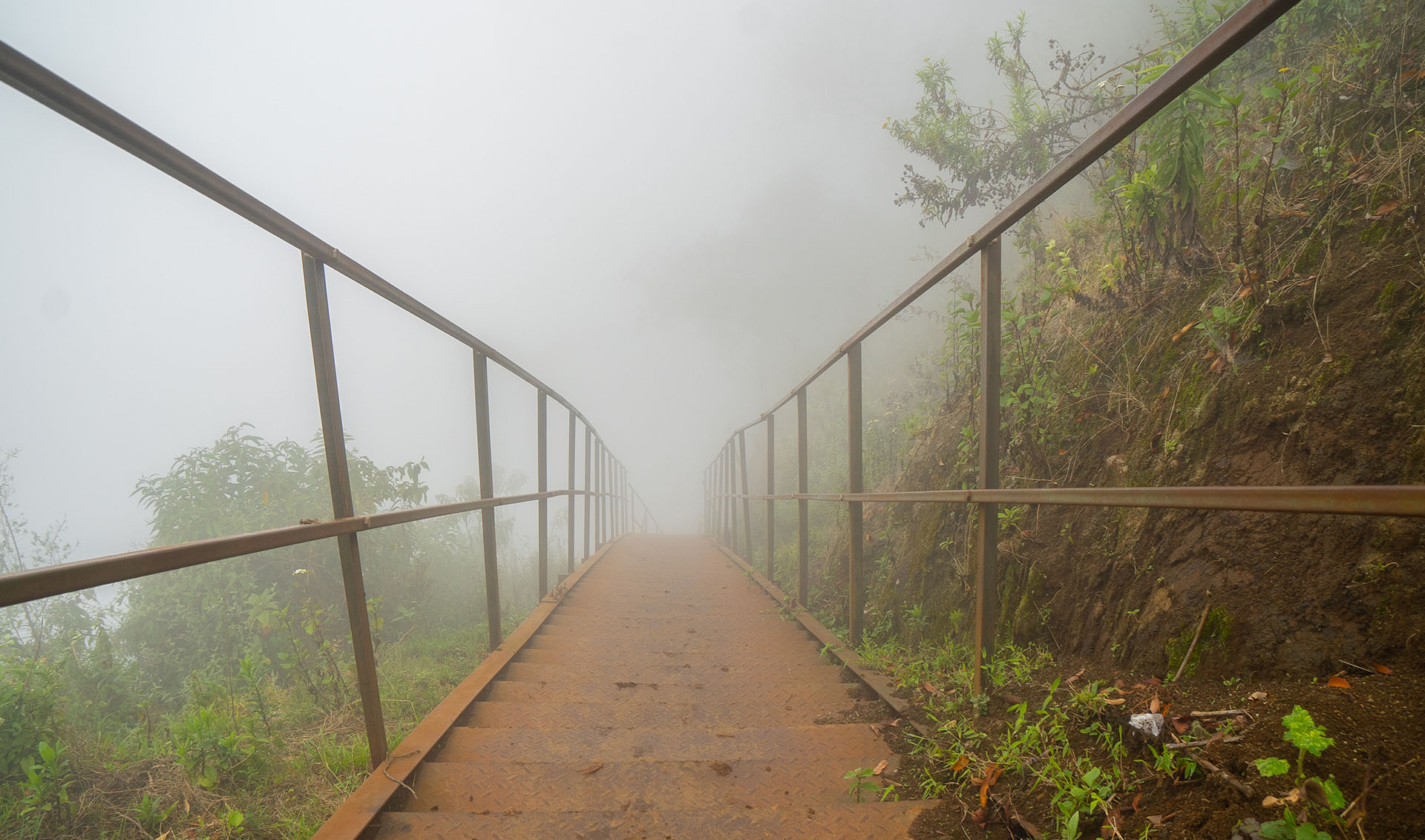 TREKKING/ HIKING