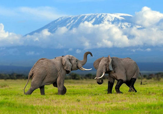 TANZANIA